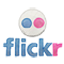 Flickr Icon
