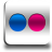 Flickr Icon